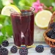 Jugo de Mora en agua