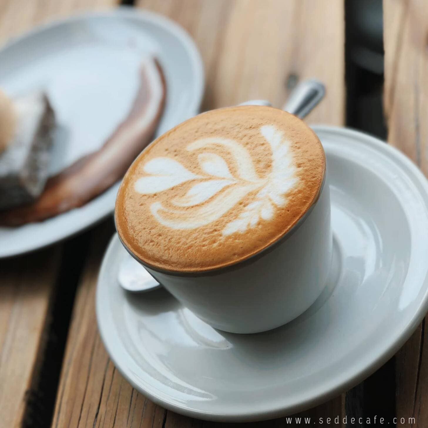 Capuchino
