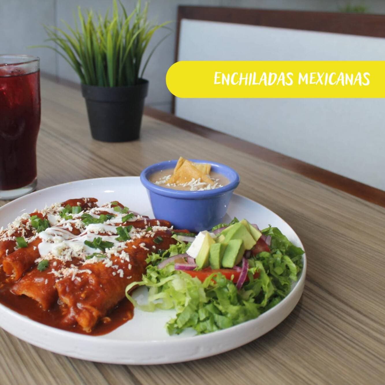 Enchiladas Mexicanas