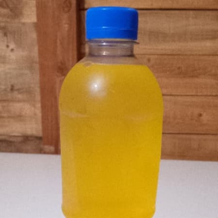 Agua de Naranjita 500 ml