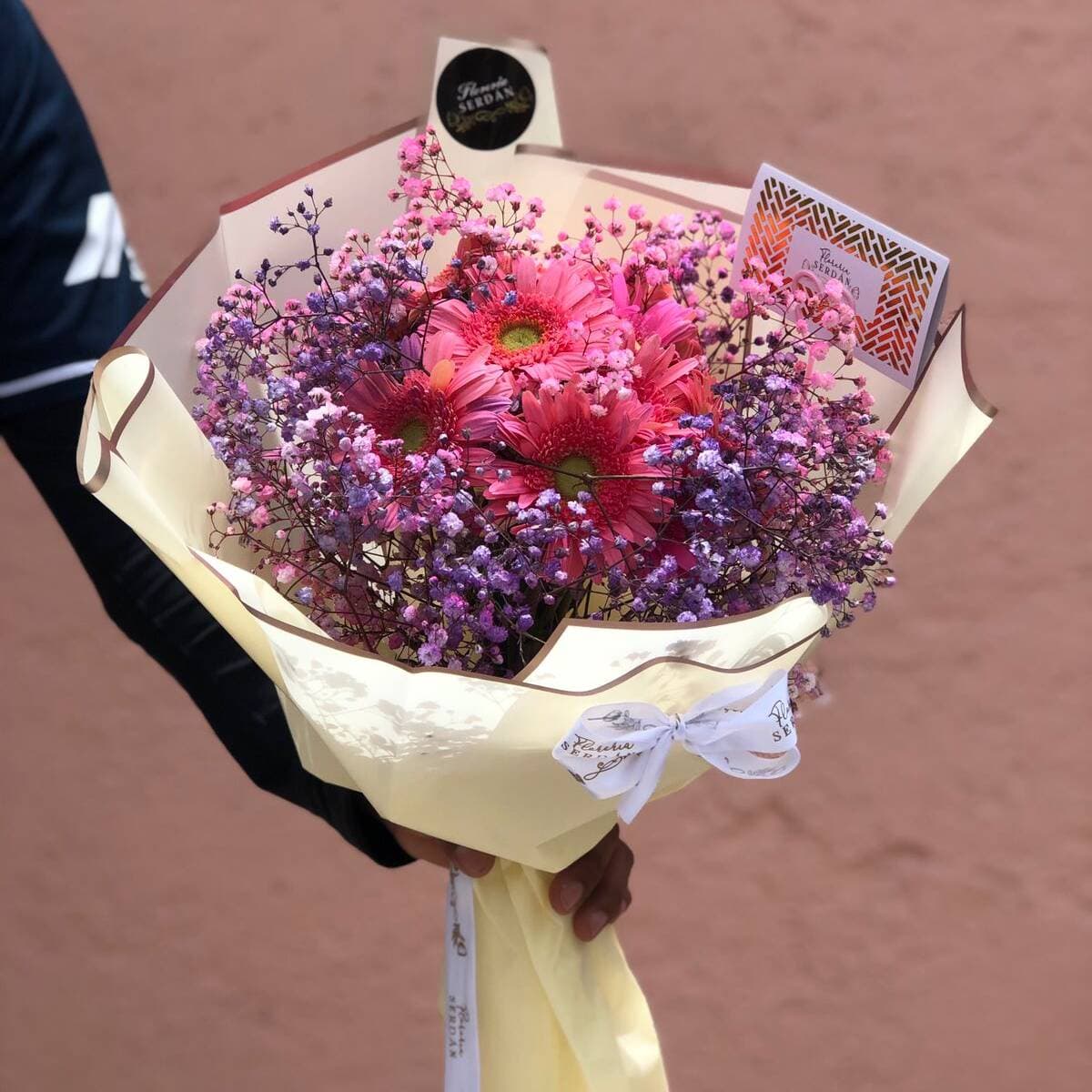 6 Gerberas