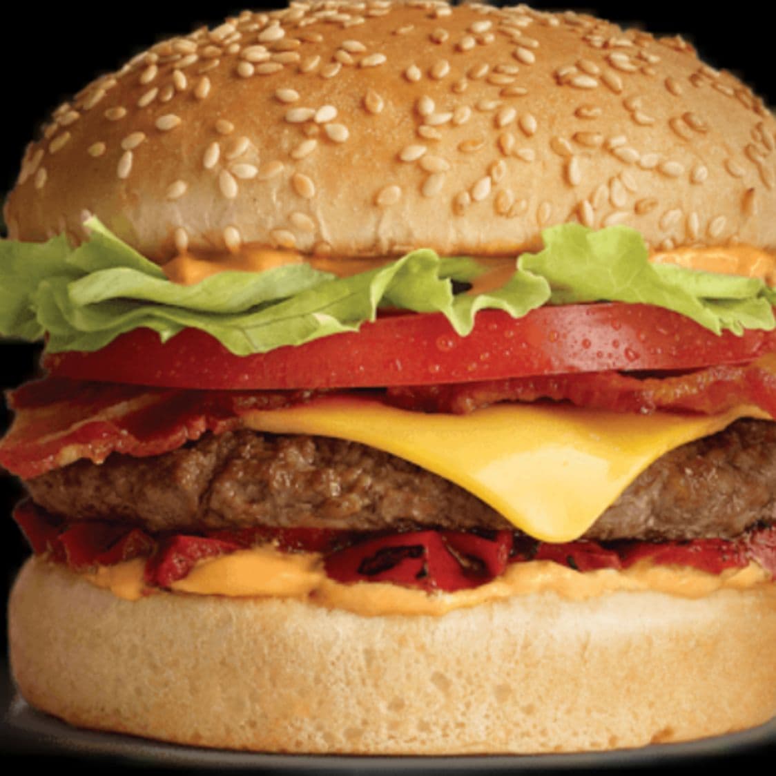 HAMBURGUESA SENCILLA