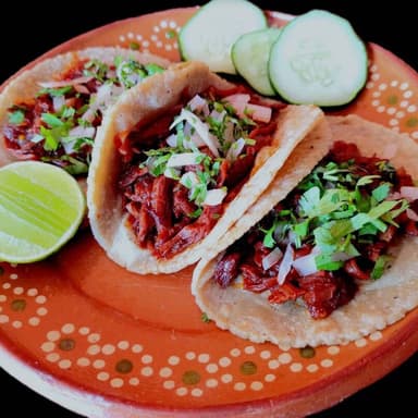 Taco Birria