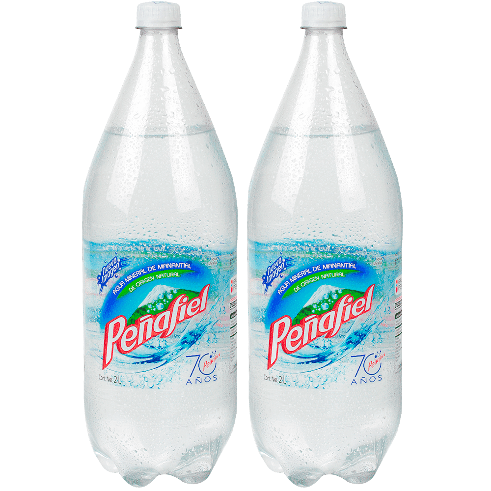 2 Penafiel Mineral 2 lt NR