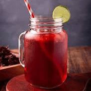 Agua de Jamaica 500 ml