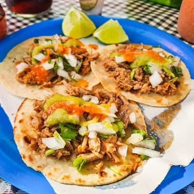 Taco suave de birria