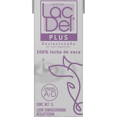 LITRO LECHE DESLACTOSADA