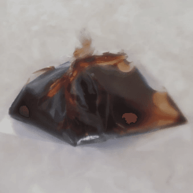 Salsa de Anguila