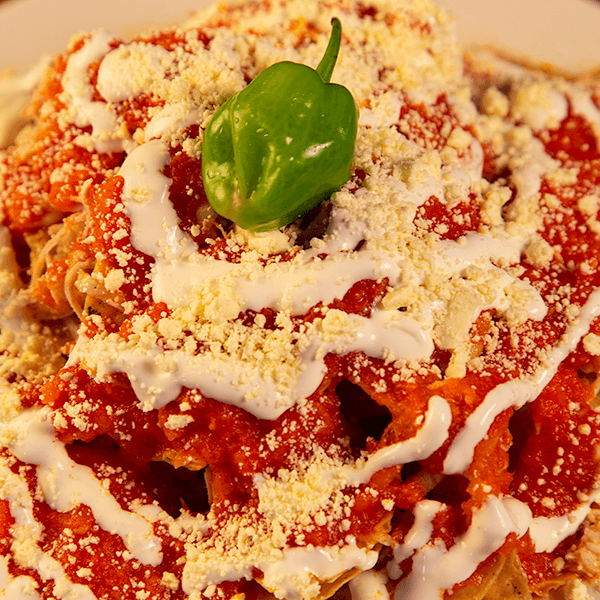 Chilaquiles con Pavo