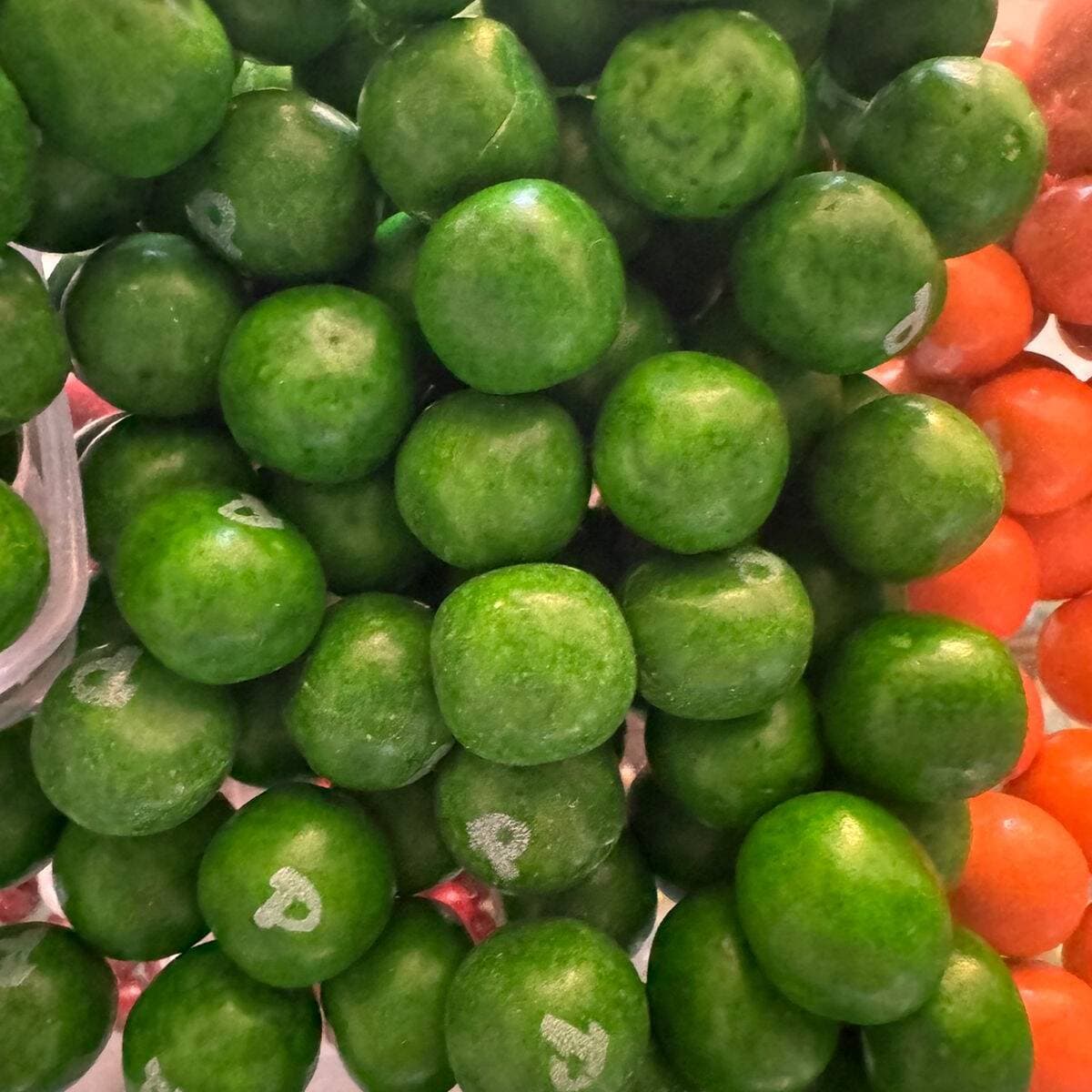 PULPARINDO SANDIA