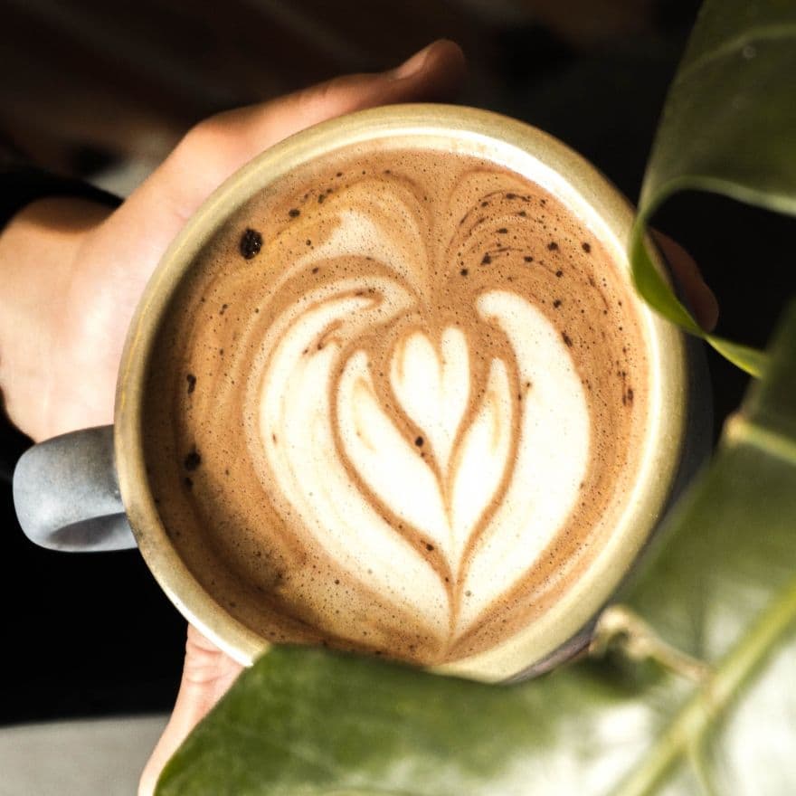 Mocha 12 Oz