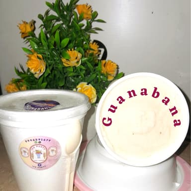Helado Gourmet Guanabana