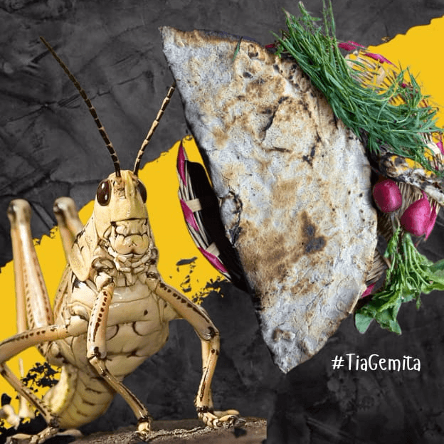 Tlayuda Con Chapulines