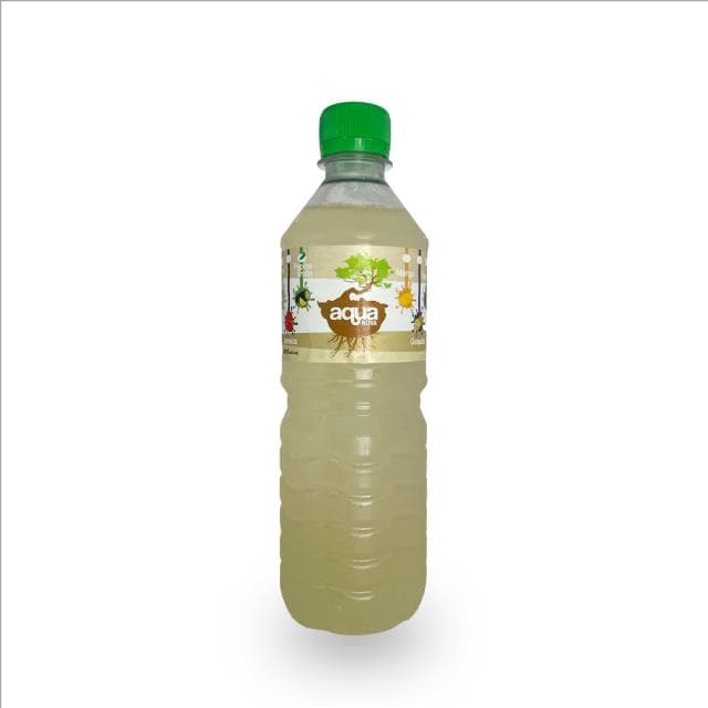 AGUA PEPINO/LIMON