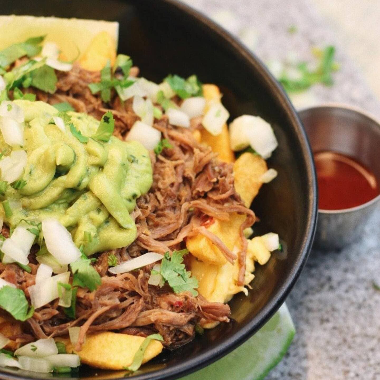 Birria Fries
