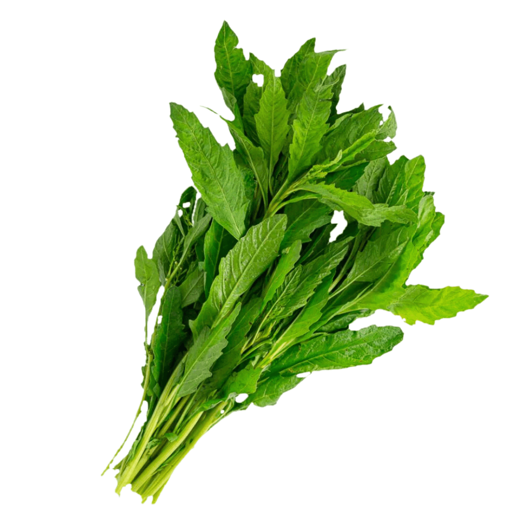 Epazote Rollo