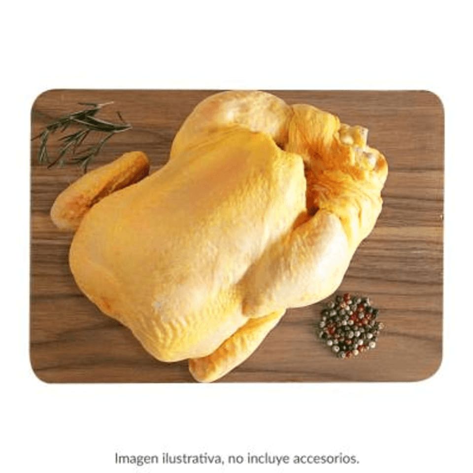 Pollo
