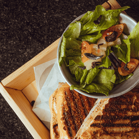 Panini Club Chicken
