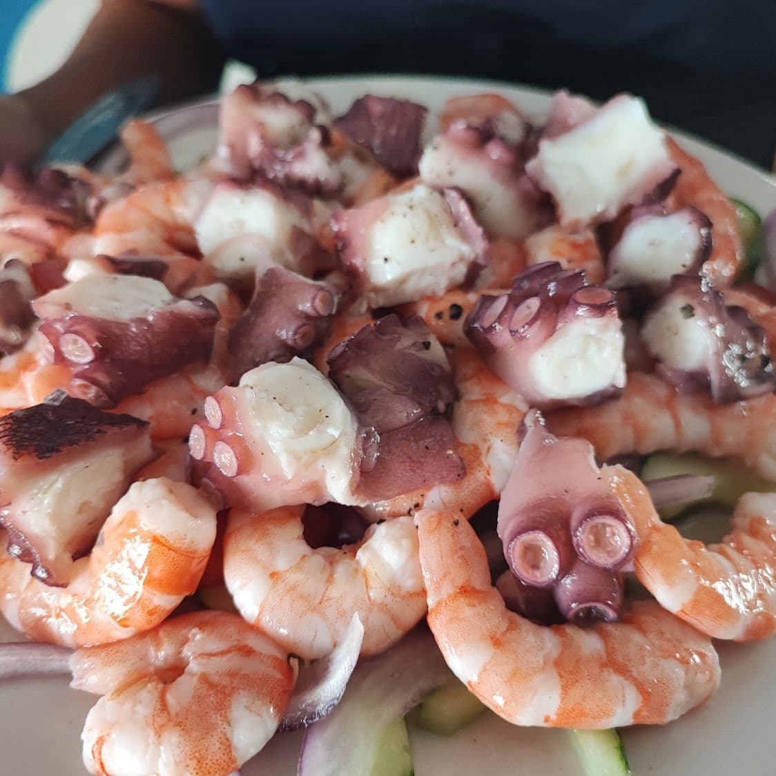 Ensalada de Pulpo y Camarón