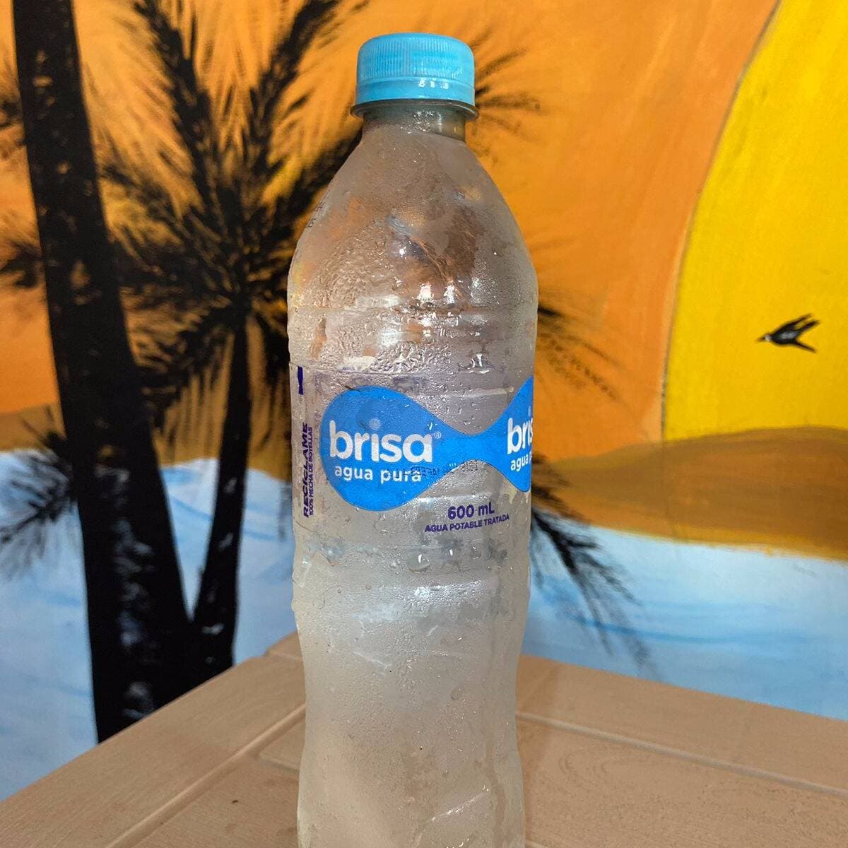 Agua Brisa 600 ML