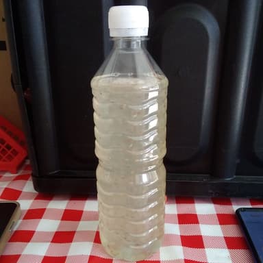 Agua de Limón con Chia.