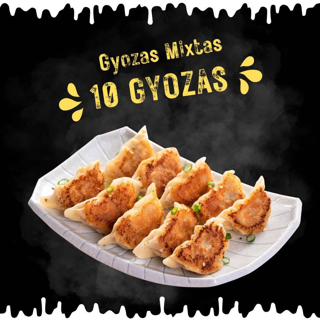 10 Gyozas Mixtas ( empanadas )