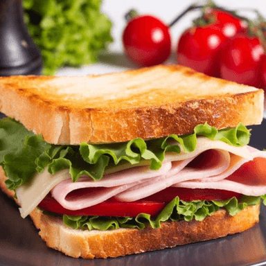 Sandwich Nutritivo