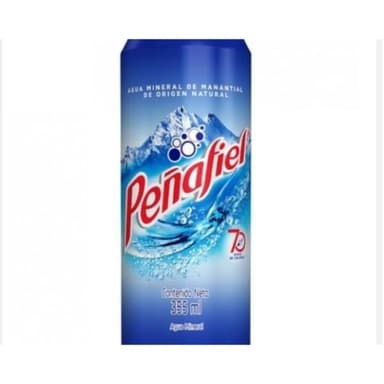 PEÑAFIEL 355 ML