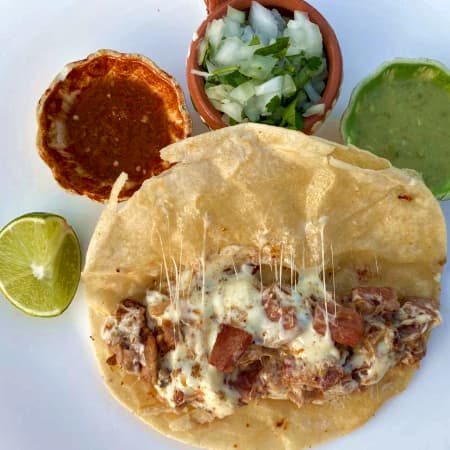 Gringa de  Suadero