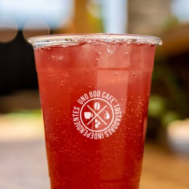 Kombucha de Temporada