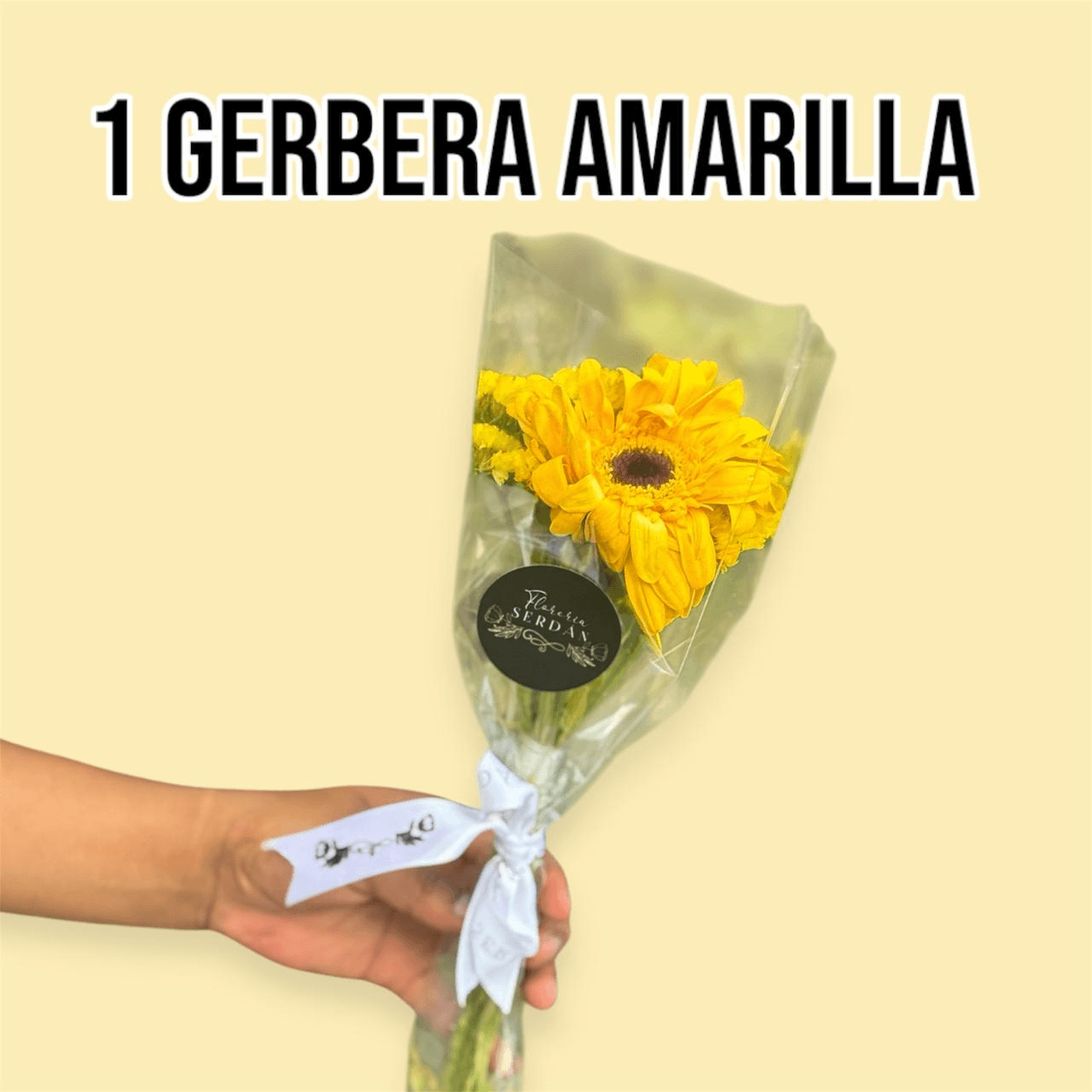 1 Gerbera