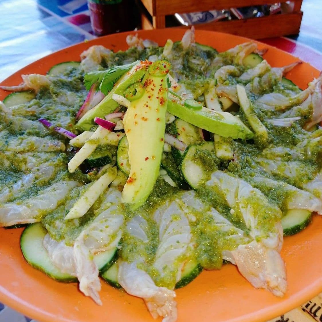 ORD DE AGUACHILE VERDE