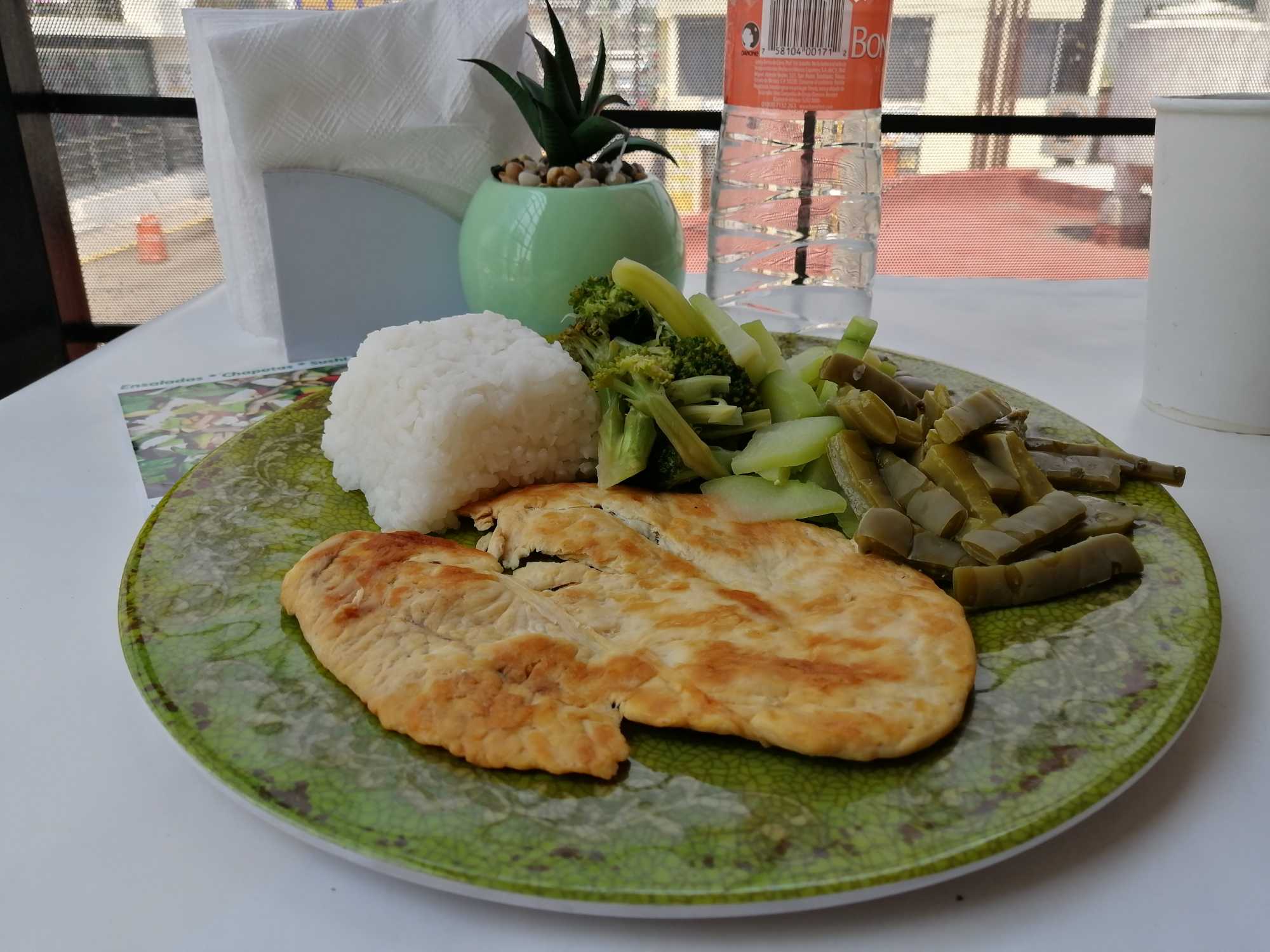 Comida Fitness