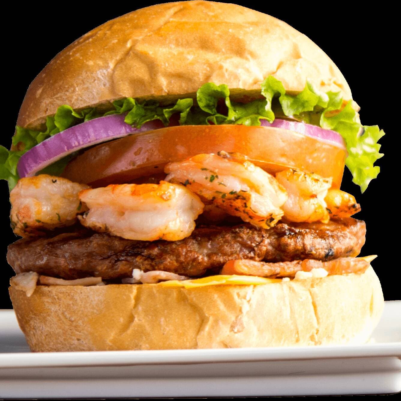 MAR Y TIERRA BURGER