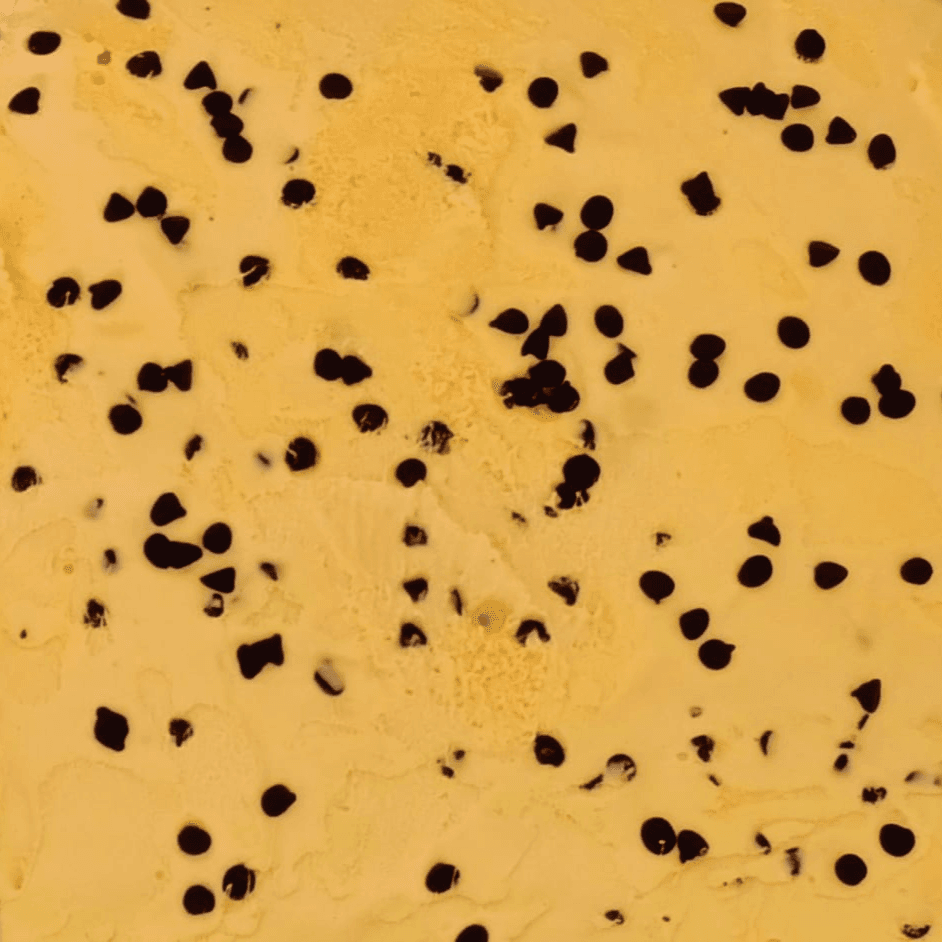 Nieve de Vainilla con Chispas de Chocolate