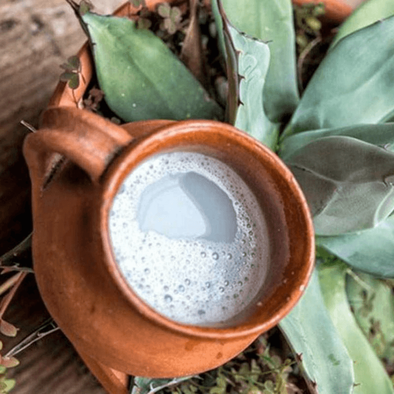 Pulque Fuerte 1L