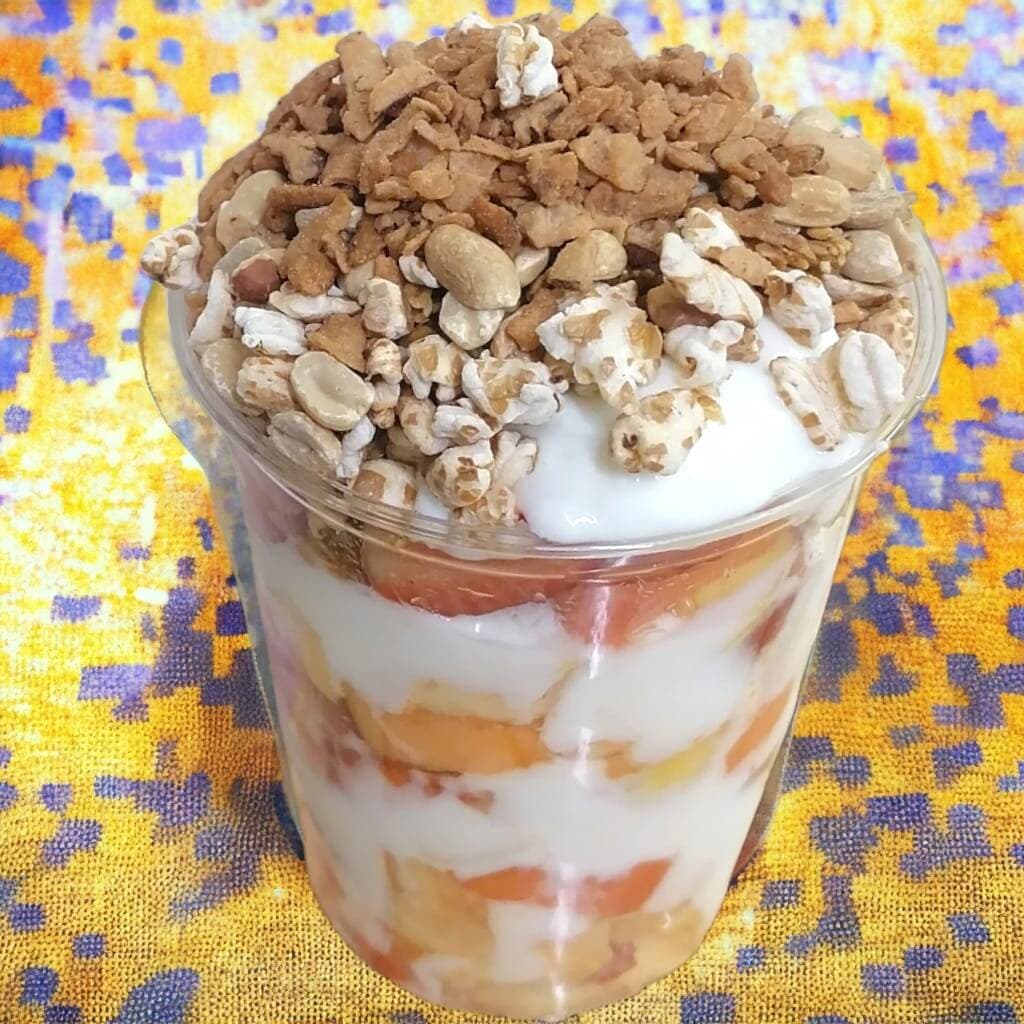 Biónico Grande Yogurt GDL