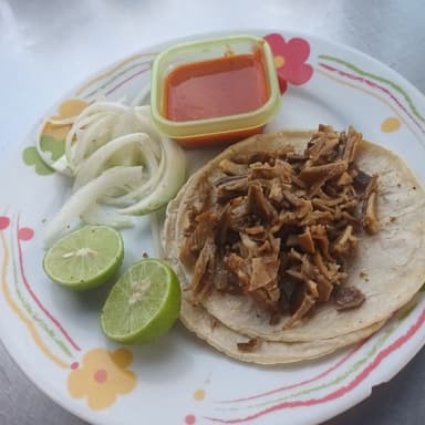 Taco de panzita light