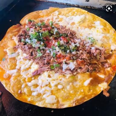 Burro de birria