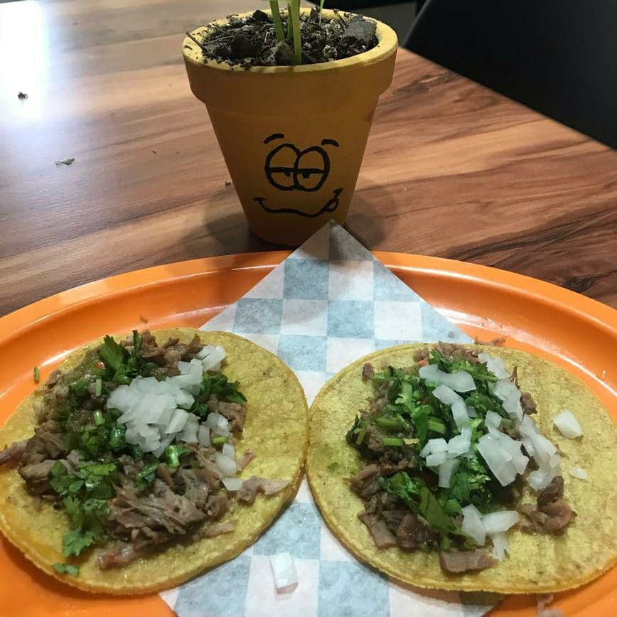 Taco de Birria Blandito