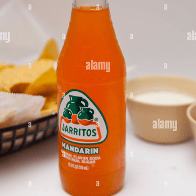 Jarritos 600 ml (desechable)