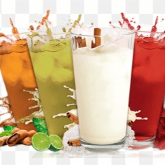 AGUA FRESCA DEL DIA 1L
