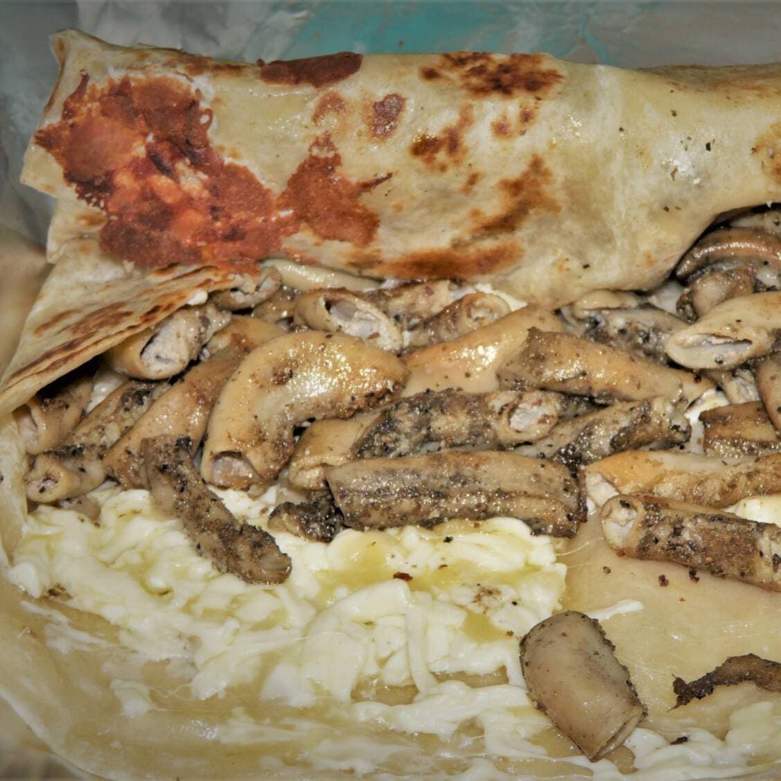 Megaburro de Tripa