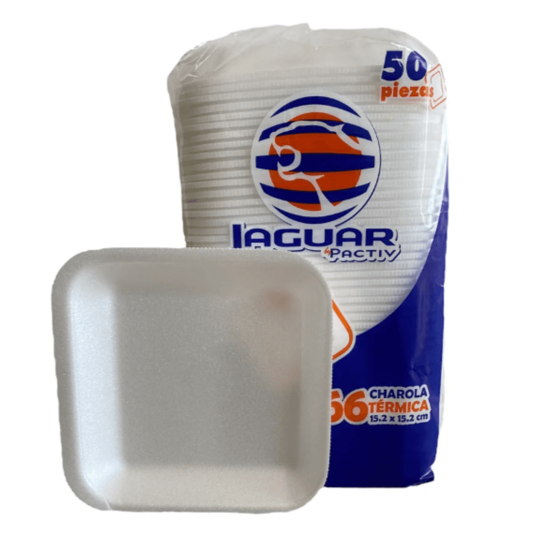 Plato Desechable Chico con 50pz 066