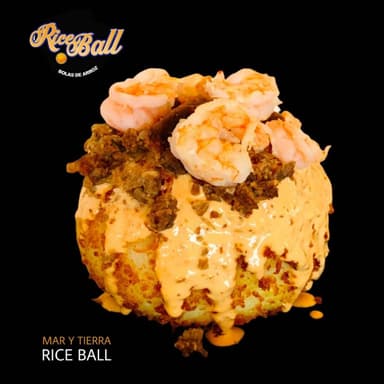 Mar y Tierra Rice Ball