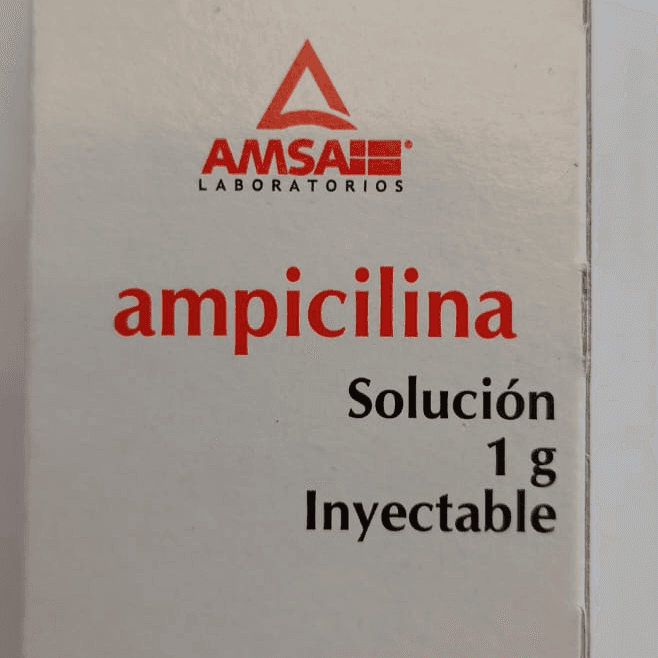AMPICILINA 1G INYECTABLE