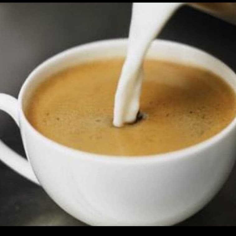 Latte 12 oz.