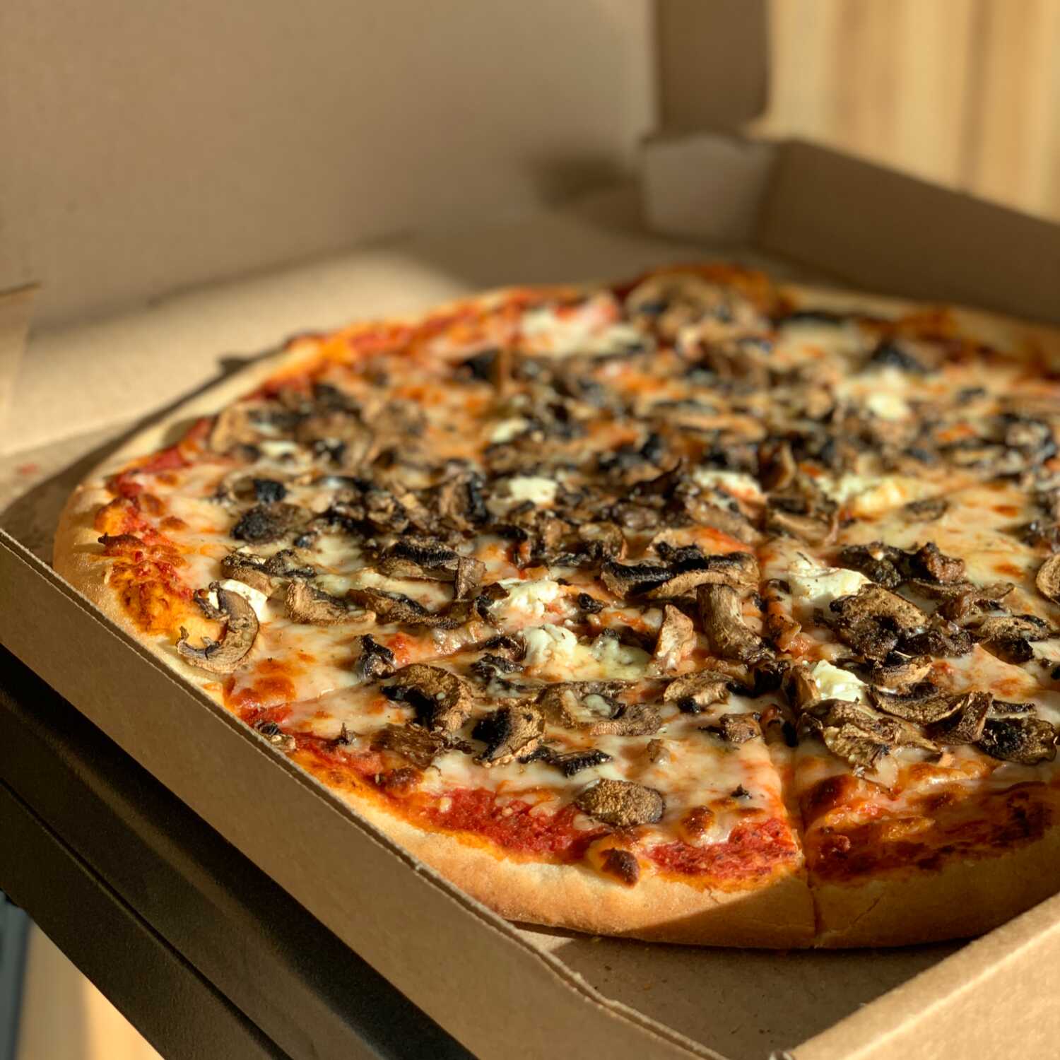 Pizza Funghi