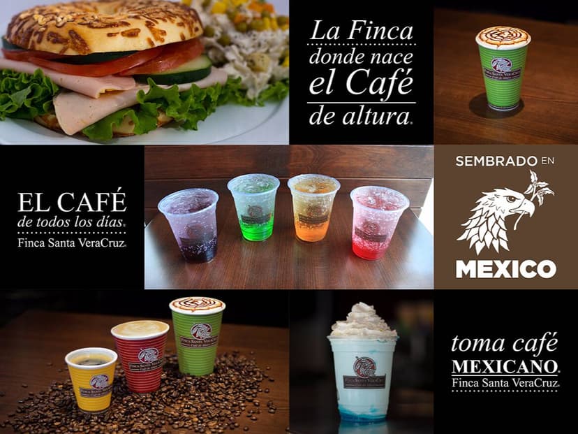 Finca Santa Veracruz (La Gloria)