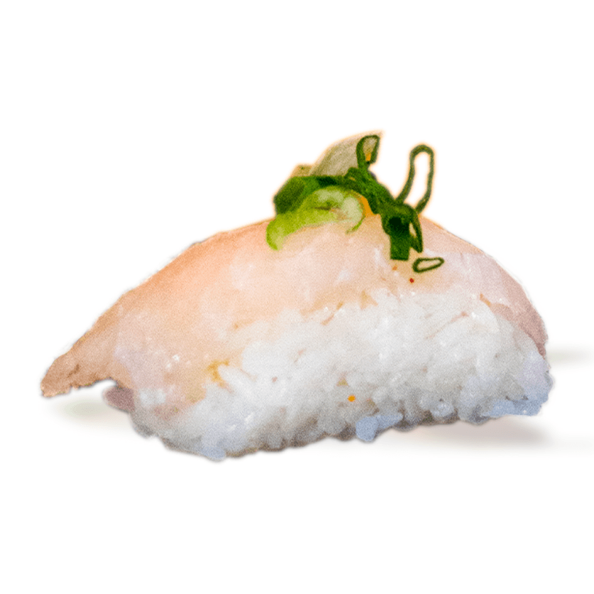 Nigiri Robalo